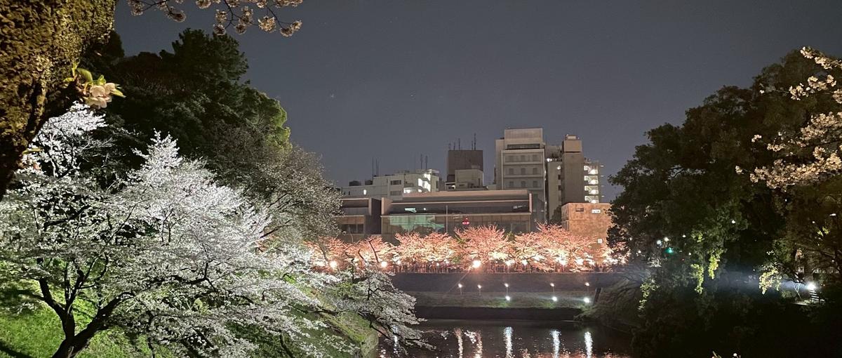 技術と丁寧なコミュニケーションで課題を解決できるエンジニアを募集しています