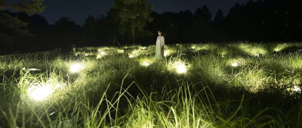 植物を用いたアート作品・空間の設計から現場設営までを担当する植物担当者