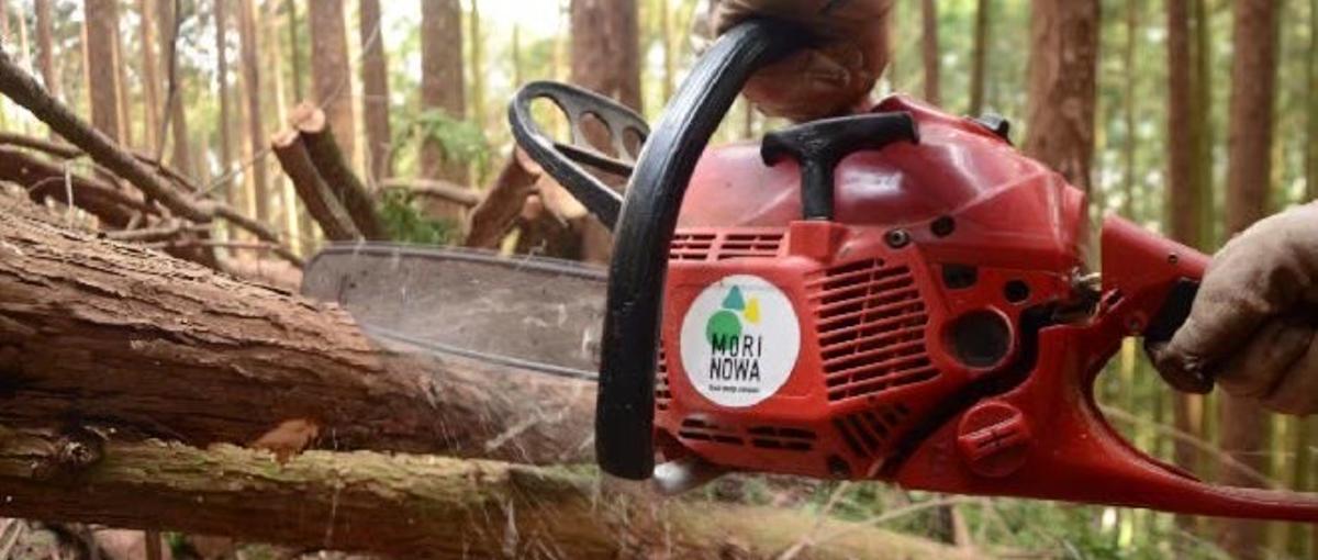 森からイノベーションを起こす。フォレストワーカー募集