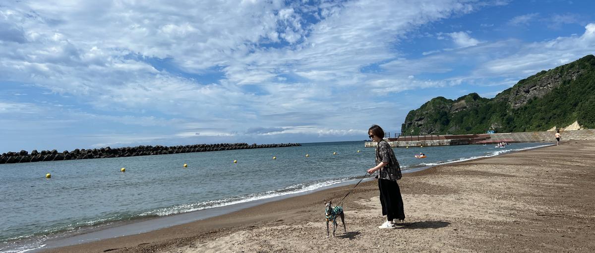 決まったフローで着実に。顧客の困りごとを解決するカスタマーサポート。