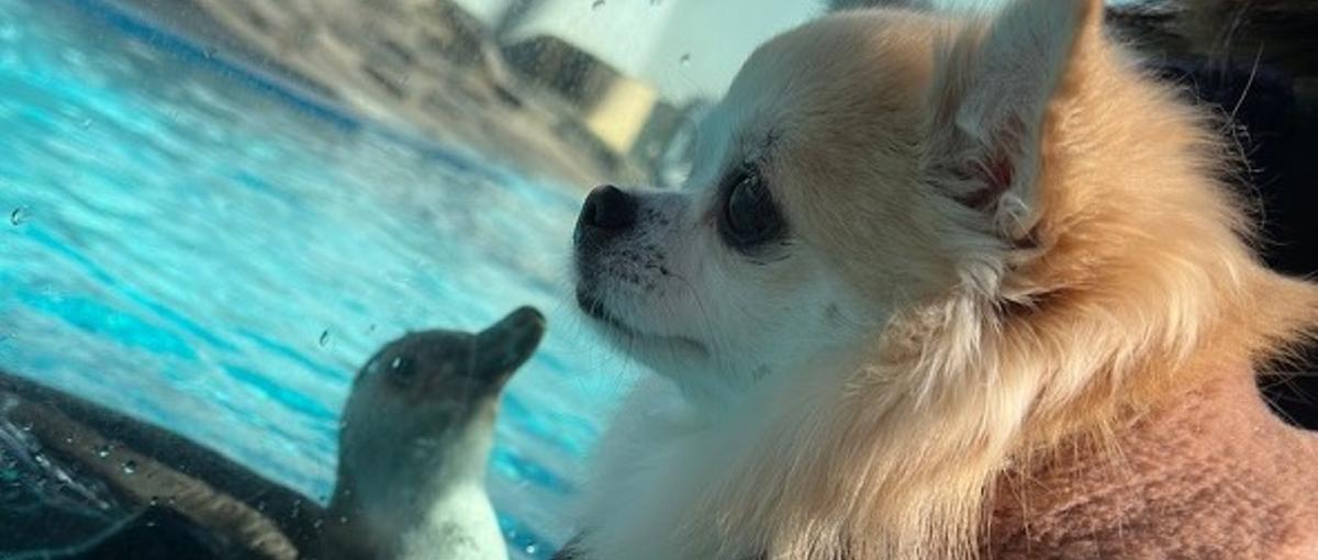 TypeScript経験者求む！自社サービスに興味のあるエンジニア募集！！