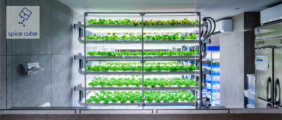 関西｜マーケティングの経験を活かして農業スタートアップの事業拡大に貢献