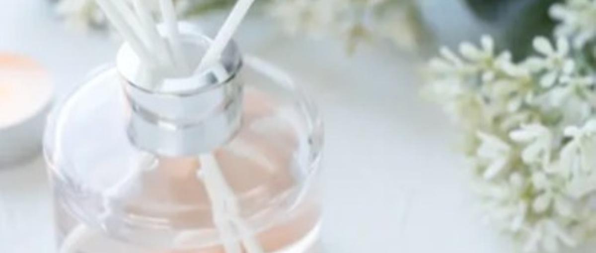 香りでブランドを動かす。企画もPRもやり切るフレグランス職