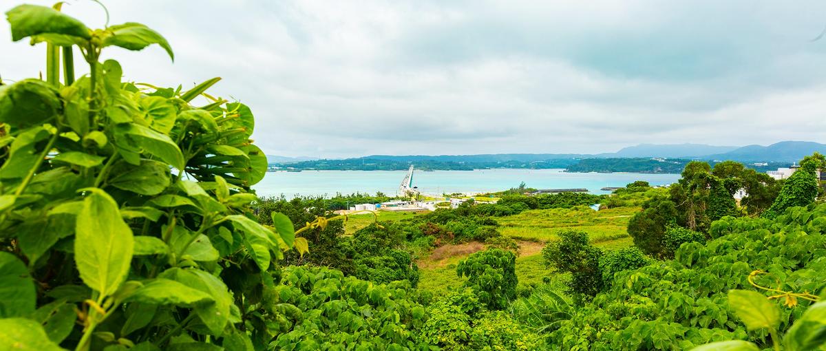 地方創生×起業｜デジタルとリアルを繋ぎ、地方発の新規事業を立ち上げる！
