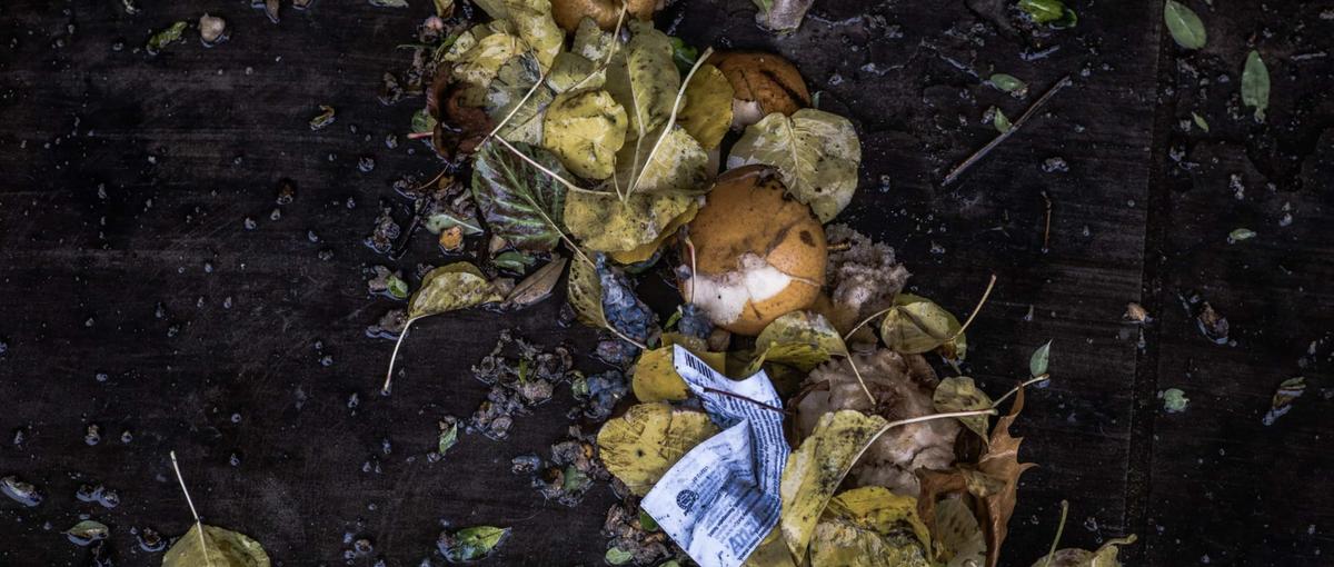 ASEANで事業を作るBizDev募集｜環境スタートアップで市場を開拓