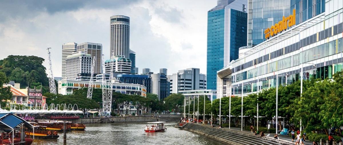 AI Search Experience Architect