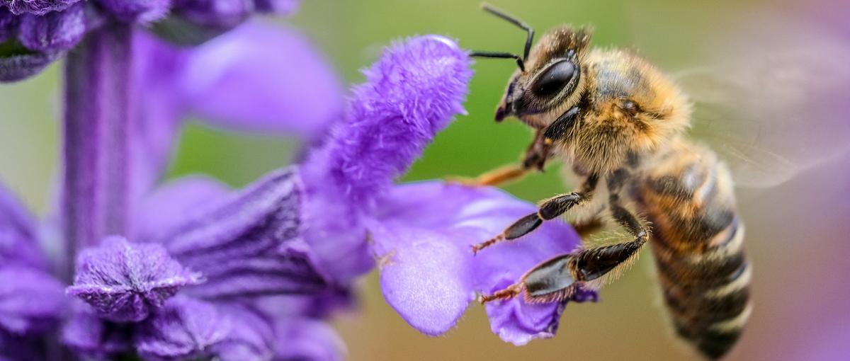 ClaudeとAIで挑み、エネルギー市場を変える実践インターン