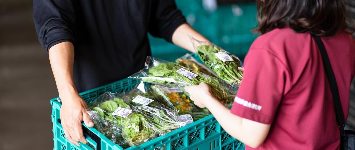 新鮮野菜を一番おいしい状態で食卓へ！農家と生活者の架け橋となる集荷場運営