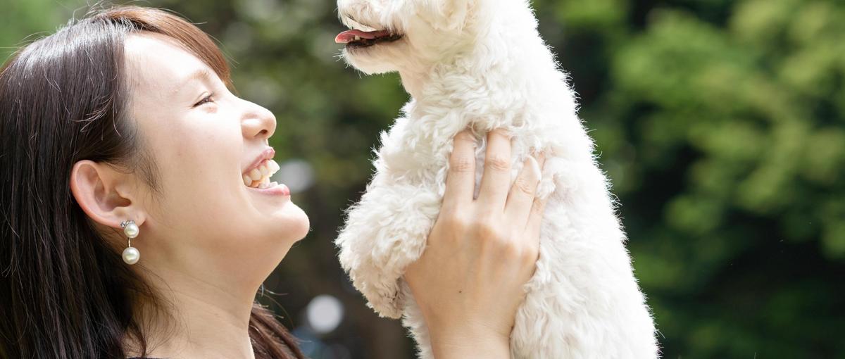 1日6時間～働こう！ペット×ITベンチャー企業の営業事務・総務スタッフ募集