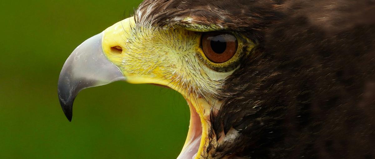 鋭い眼光で、市場を狙う！エネルギー業界の最前線へ！