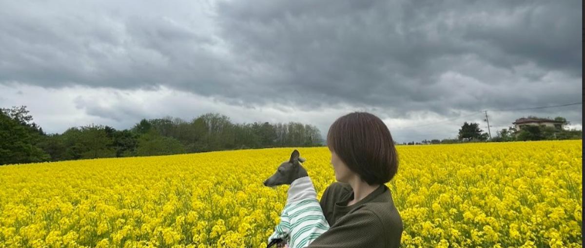 誠実さと論理性を武器に、顧客を成功に導くカスタマーサクセス