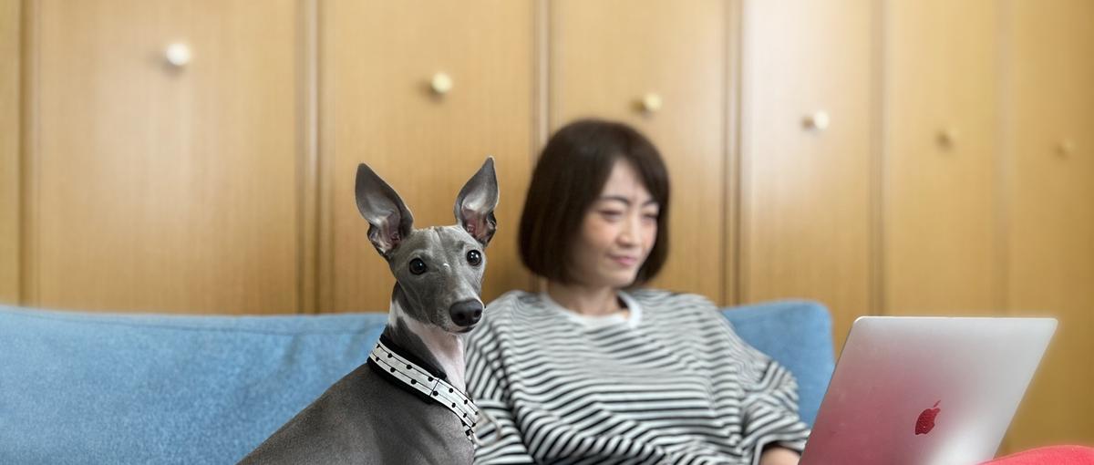 Voiceでビジネスを変える。使命感を持って挑む伴走型カスタマーサクセス