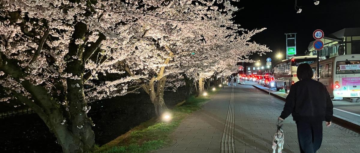 好きなところで仕事・子育てどちらも充実。キャリアを諦めないCS！