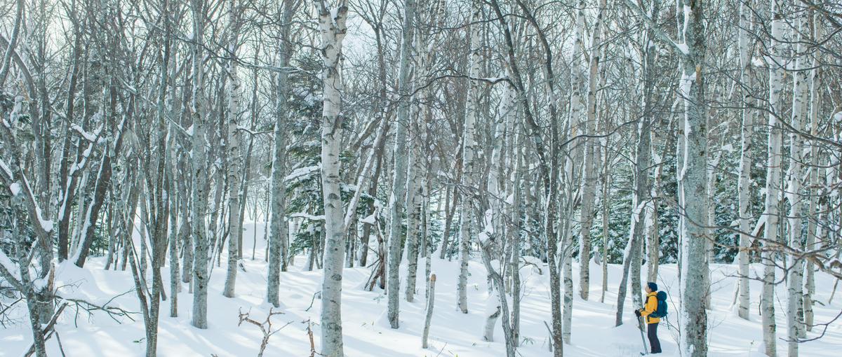 知床には世界を癒やす力がある。―これ以上、どこへ行く必要がありますか？