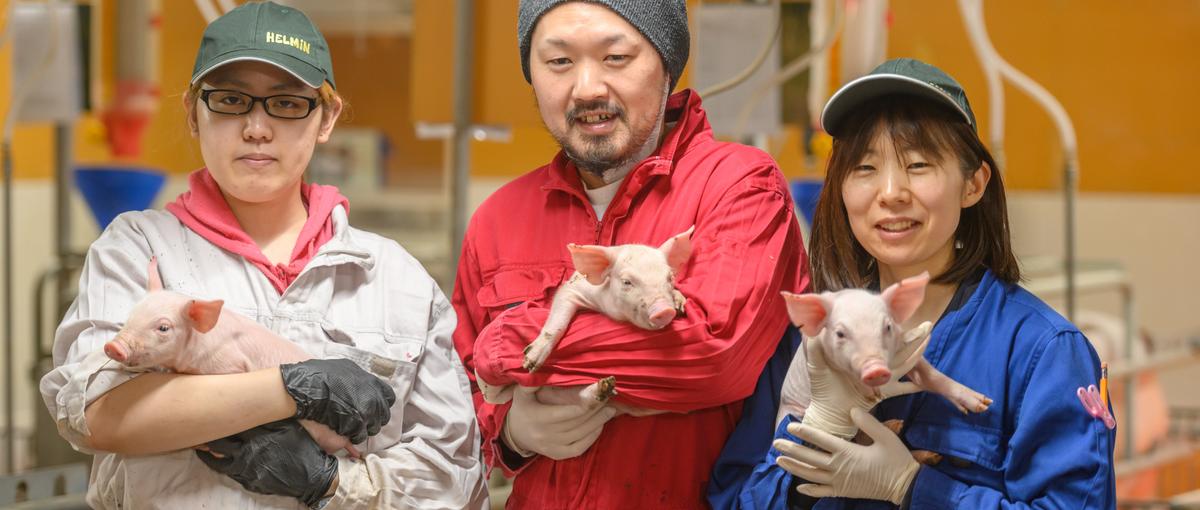 命を育てる”プロとして、養豚と向き合う仕事