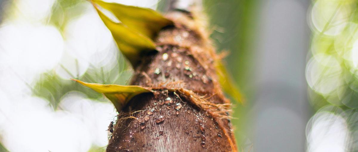 起業志望よ、0→1を今すぐ体験せよ！新エネルギー事業の立ち上げへ