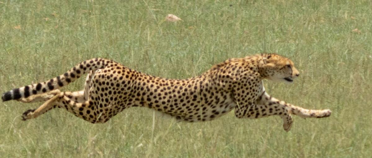 考えるな、まず作れ！AI×エネルギーの爆速実践インターン