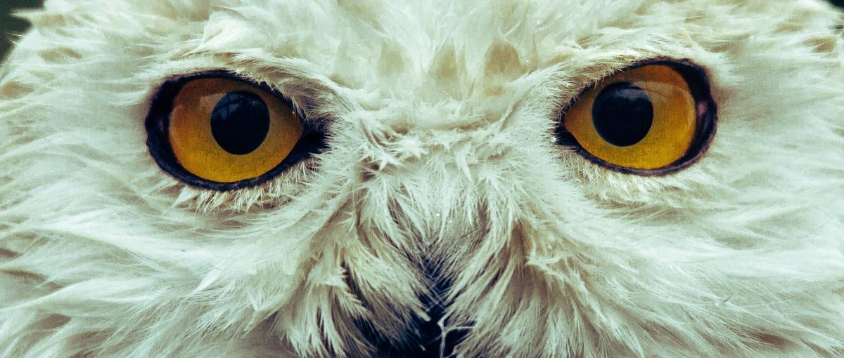 データで稼ぐ力を身につけろ！エネルギー×AI 数字を武器にするインターン！