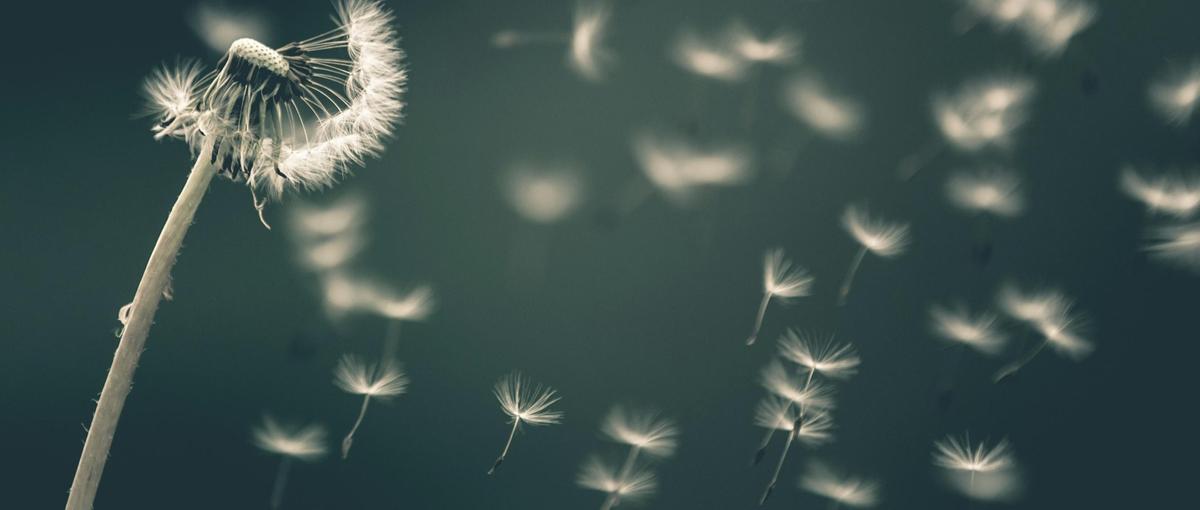 あなたのプロダクトを世に！エネルギー×Claude開発実践インターン