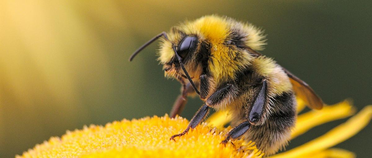 理系・データ志望へ！Claudeで次世代の電力サービスを作り上げろ！