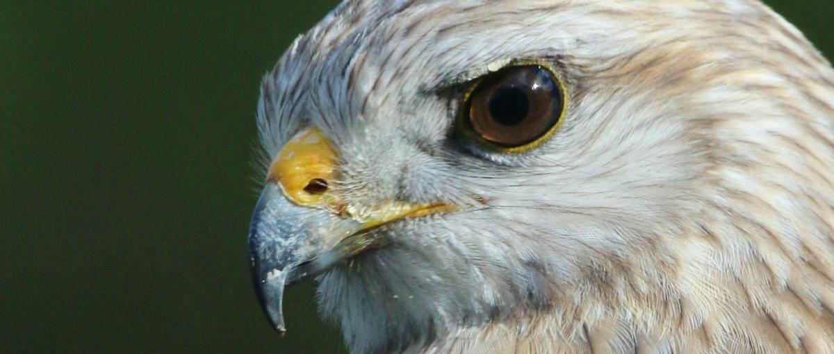 起業志望必見！ゼロから事業を作り上げる経験を通じ、起業力を獲得せよ！