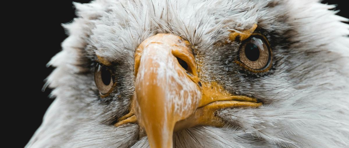 就活で差をつけたい文系へ。AI×脱炭素で誰も持っていない実績を作れ