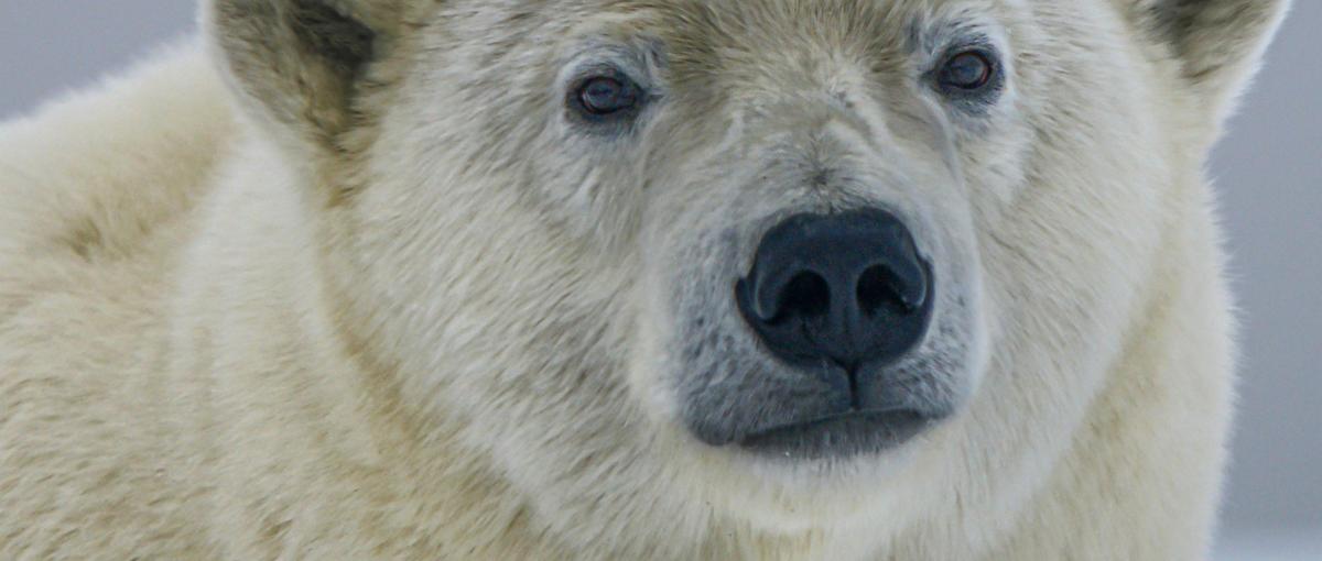 データドリブンに乗り遅れるな！AI×エネルギーで次世代ビジネスに挑め！