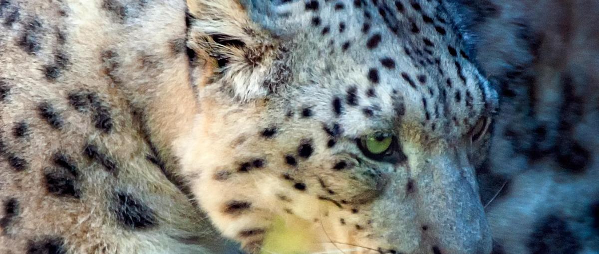 同期と差をつけたいコンサル志望へ。AI×脱炭素で未踏の課題に挑め！