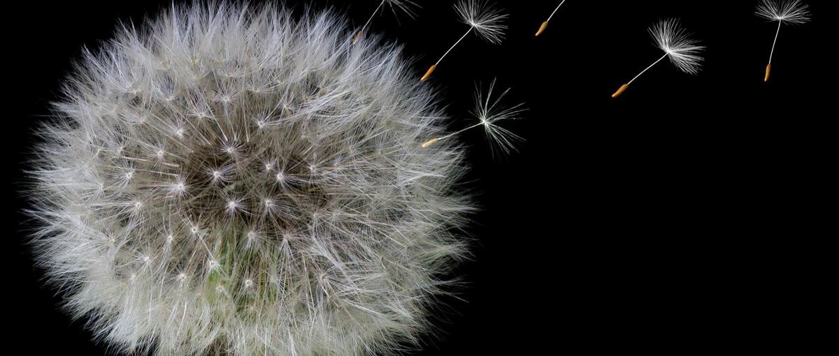 君はAI時代を生き残れるか。Claudeで再エネ市場を変革せよ！