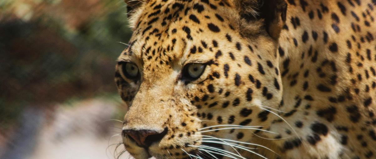 CEO直下でゼロイチを生み出せ！電力市場の変革の一端を担う実践型インターン