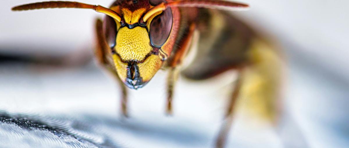 理系の力求む！AI×エネルギー！ここにしかない経験でキャリアを広げよう！