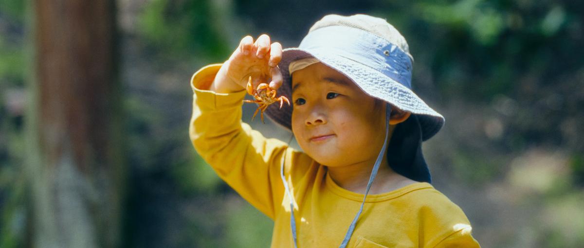 こどもと地域の未来をつくる、保育園留学コンテンツプロデューサー募集！