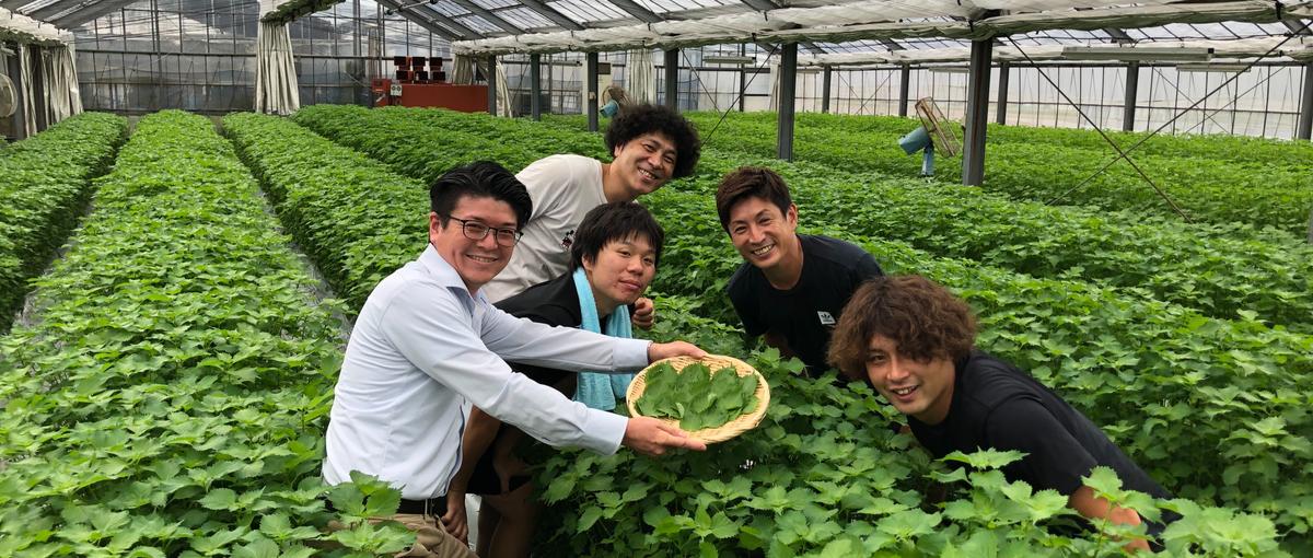 集荷場運営｜ビジネスとして魅力ある農産業を確立する！生産者の経営パートナー