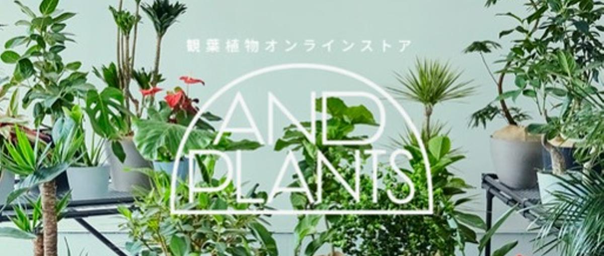 おしゃれな観葉植物　アンドプランツ　総務事務スタッフ