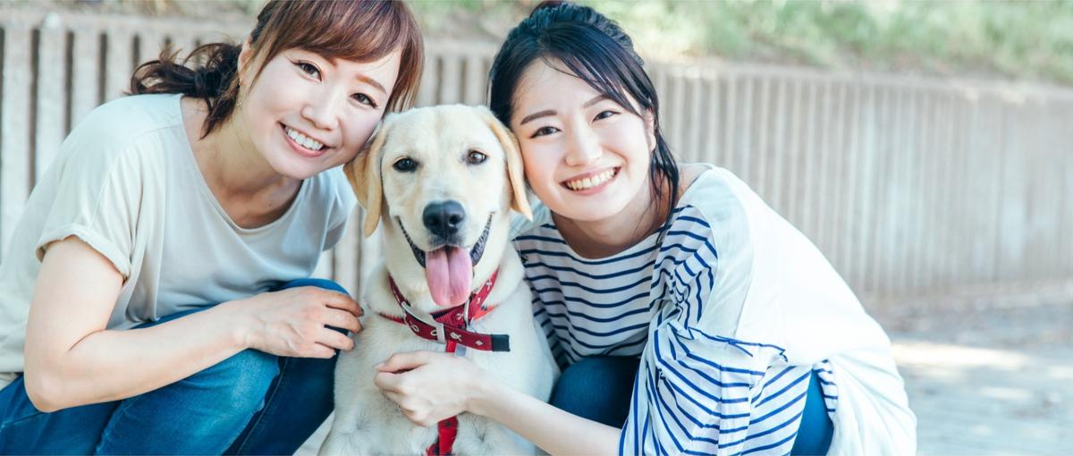 動物医療の知識を活かし飼い主と動物を救う、YouTube番組のメイン講師！