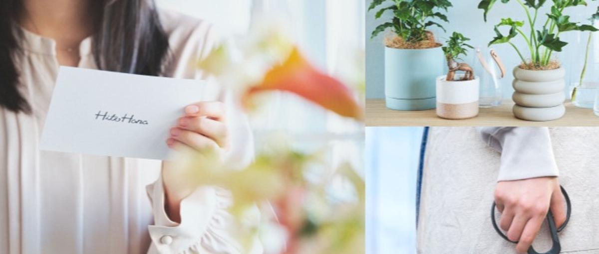 植物のある暮らしを届ける！HitoHanaのサポートメンバー募集！