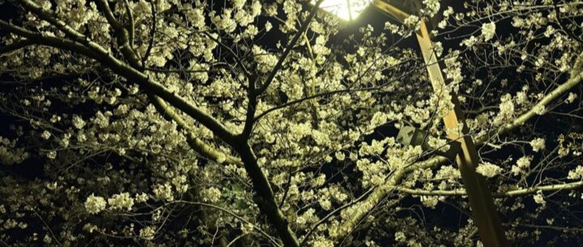 ライフワークバランスを重視！OJTで安心してエンジニア目指せる最高の環境