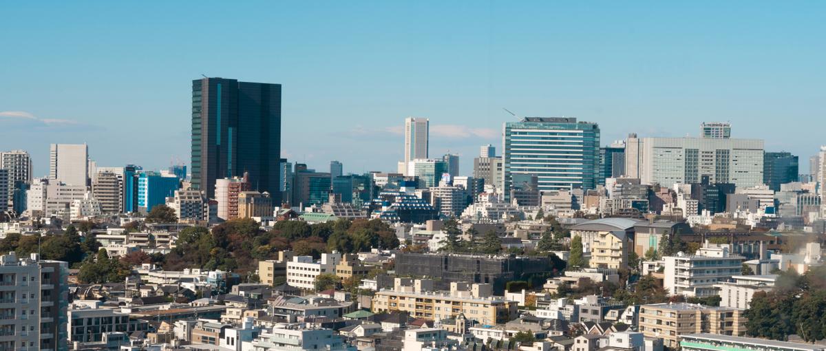 マーケからセールスまで全工程を掌握。新規事業の勝ち筋を自ら設計する事業開発