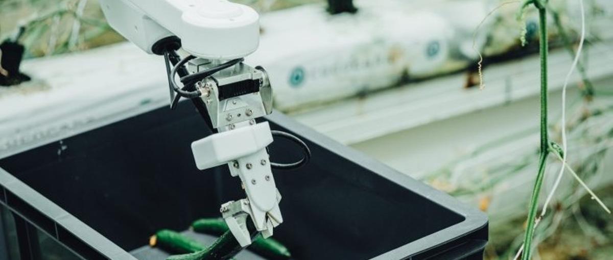 農業×ロボット×AIの技術戦略を担う方を募集しています