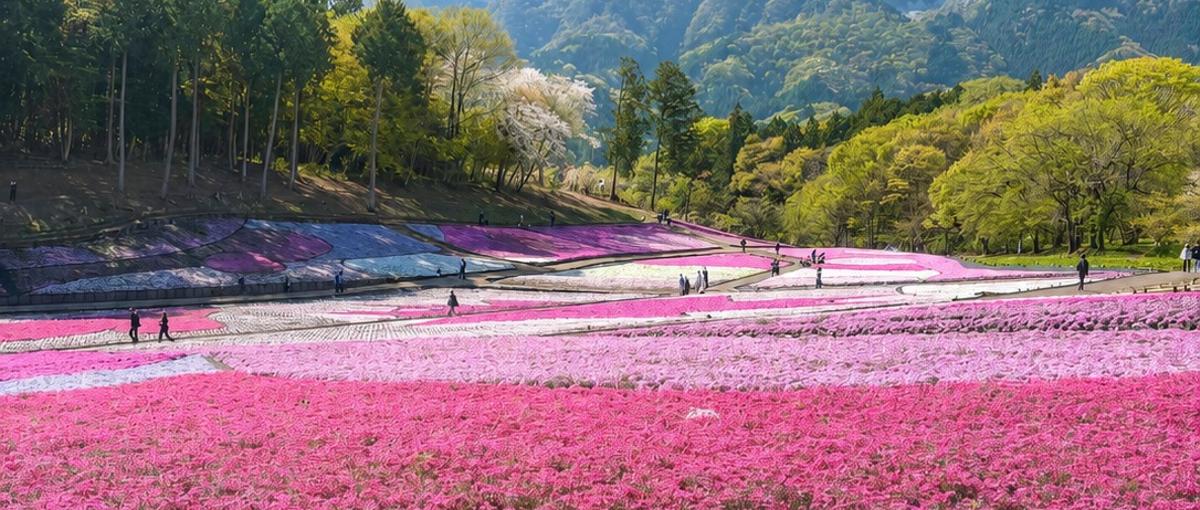 秩父でエンジニア就職。自然豊かな場所で働き続けませんか？