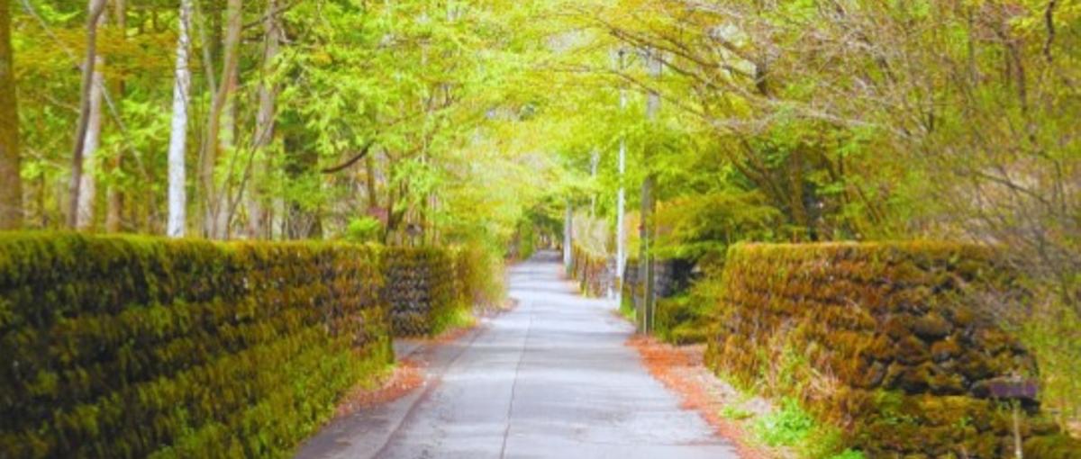 四季折々の絶景が職場になる。長野で挑戦する店舗マネージャー