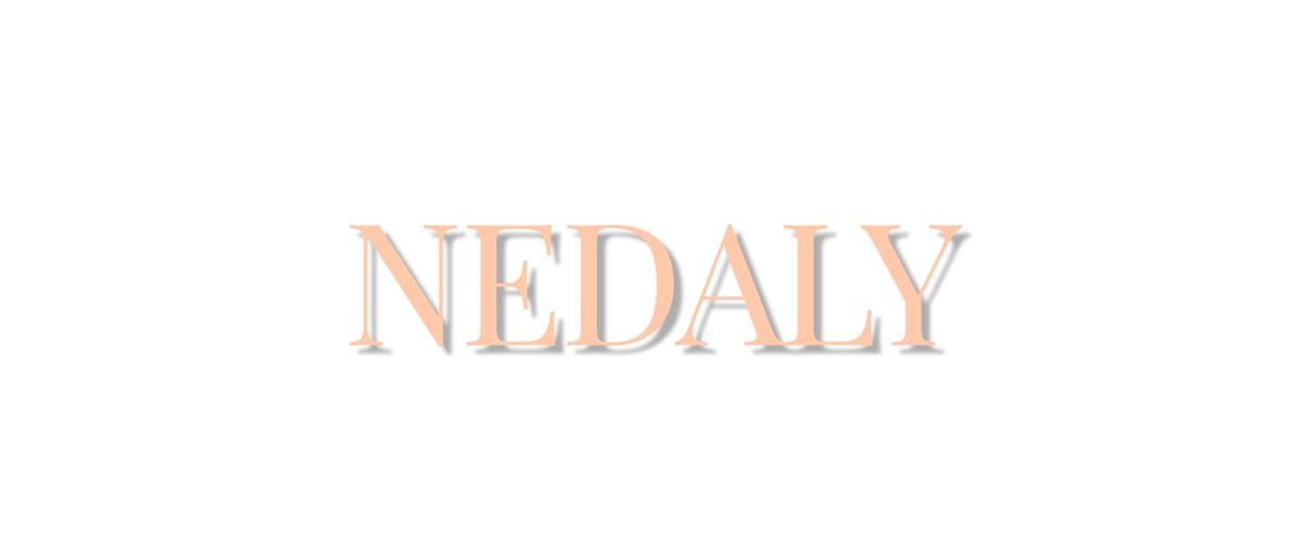 新規事業｜次世代美容メディアNEDALY編集長募集