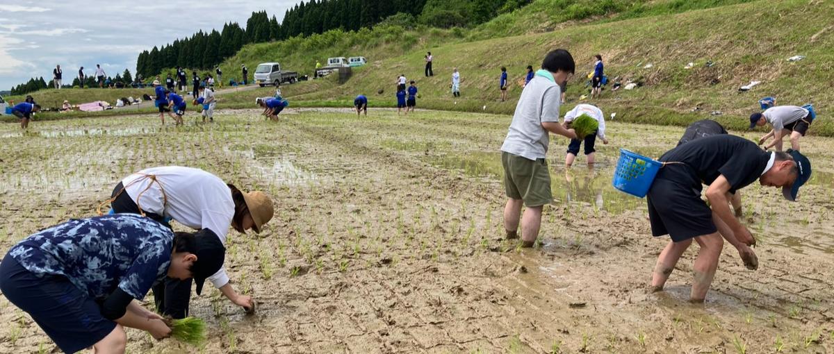 棚田を守るためにホテルをつくる。WEAZER氷見のローカルマネージャー募集