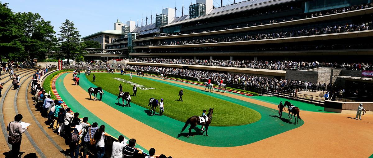 競馬が好き。その気持ちを仕事にしませんか？