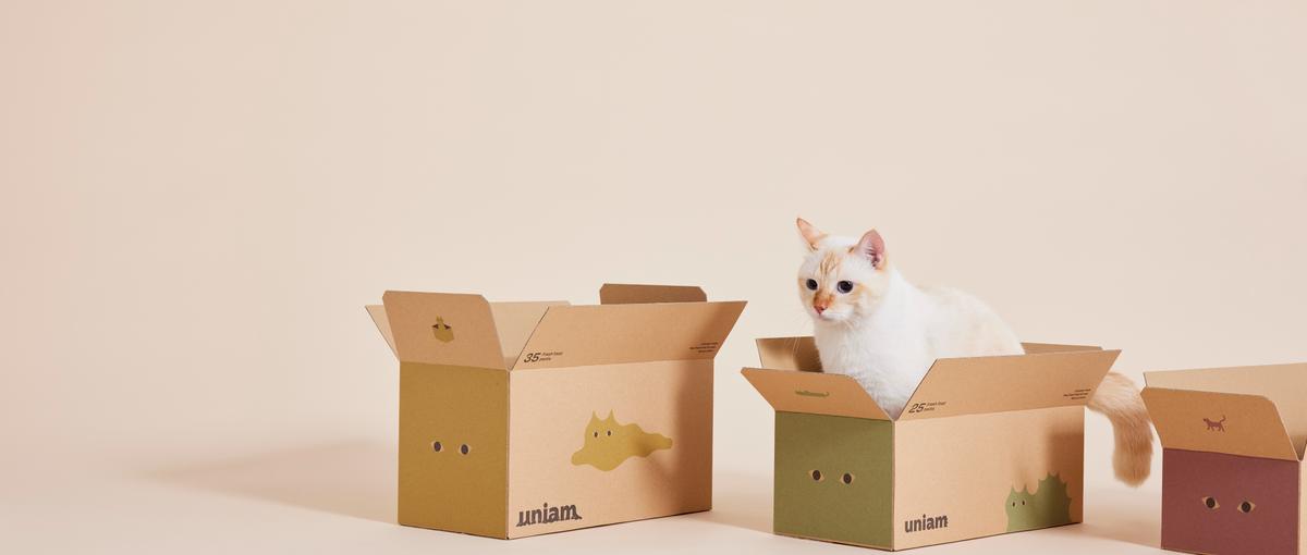 ねこヘルスケアブランドのSNS担当インターン募集！