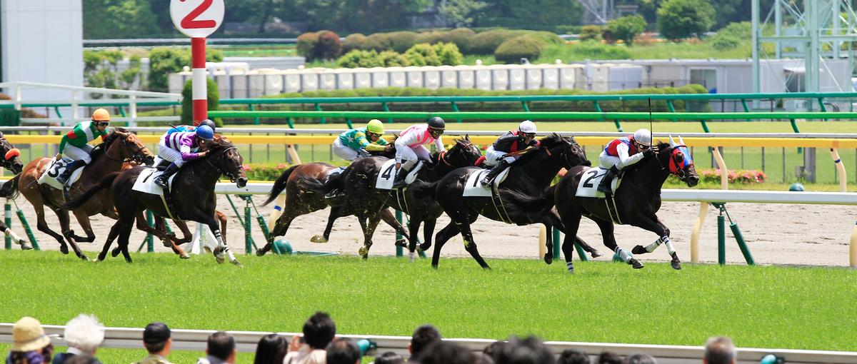 競馬情報サービスKEIBA EZOを支える、バックエンドエンジニアを募集