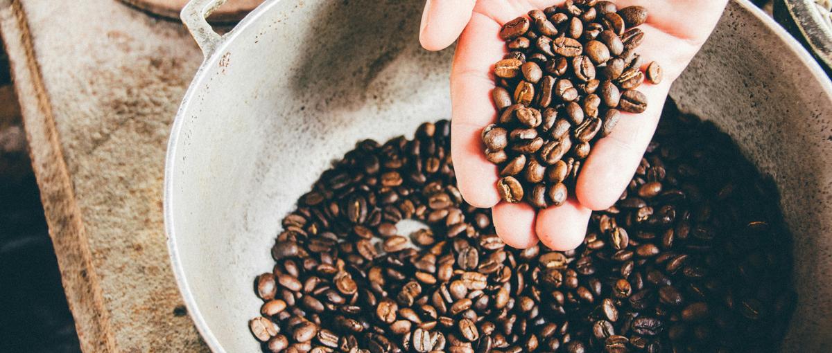 コーヒー好き必見！世界中の希少な豆を探し出し、買い付ける海外調達担当
