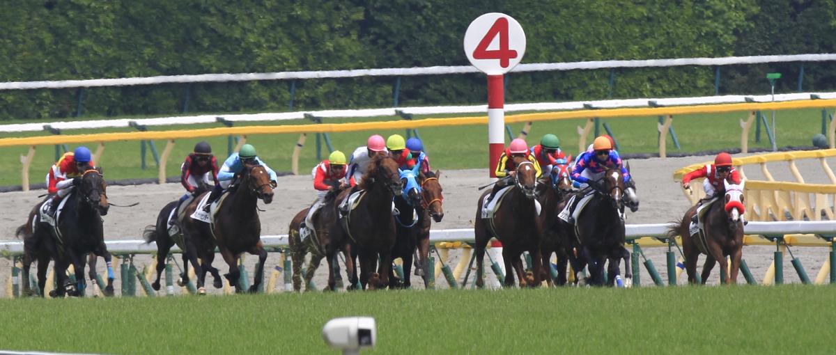 競馬好き募集！動画/SNSで魅力を伝えるメディアクリエイター