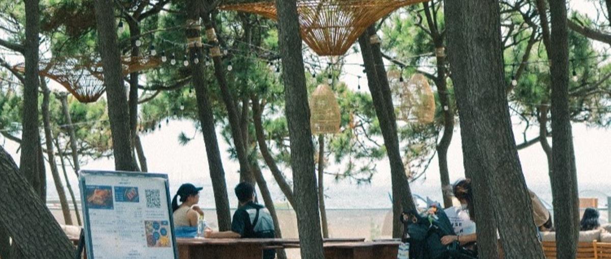 企画を仕掛け、話題をつくる。公園の広報・PR担当募集！