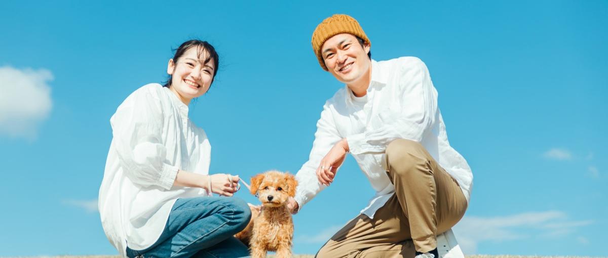 施術経験を活かして講師へキャリアチェンジ！ペット整体講師を募集